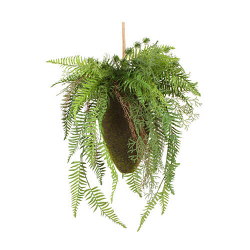 Moana Kokedama Mixed Hanging