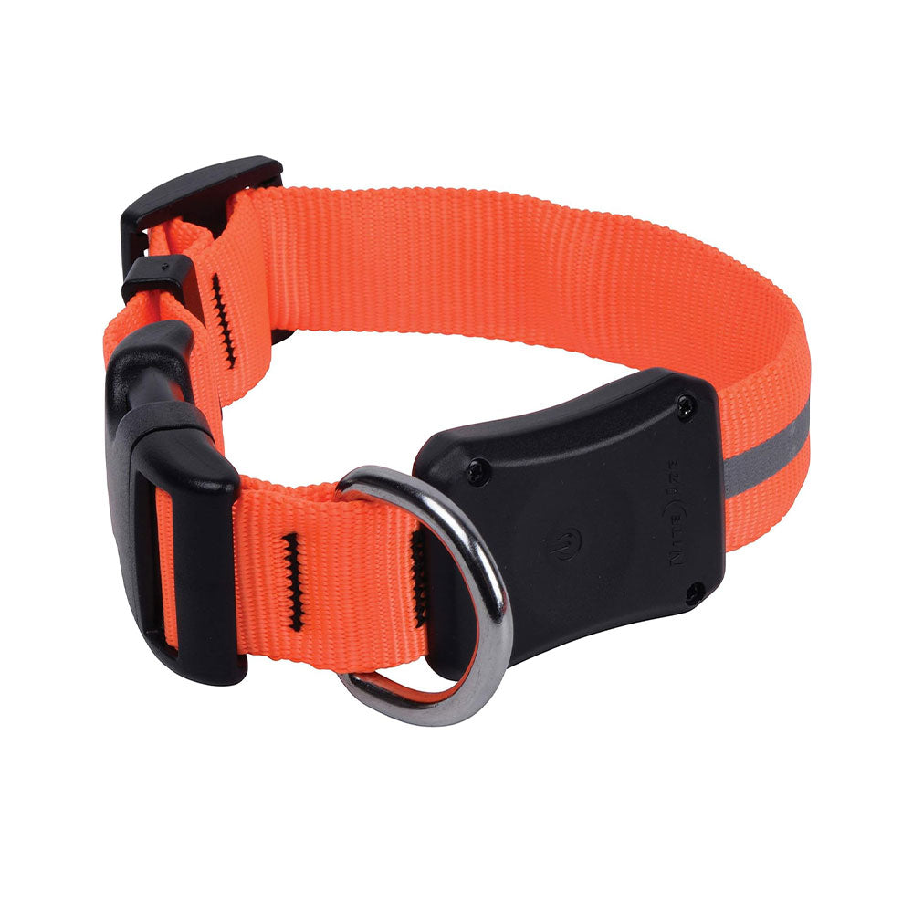 Nite Ize Dawg Collar (laranja)