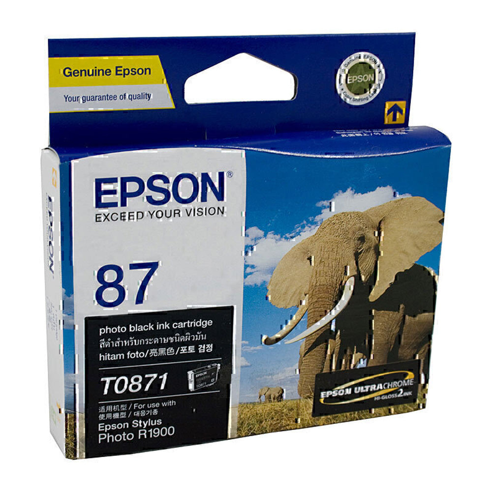 Epson T087 Kaseta z atramentem