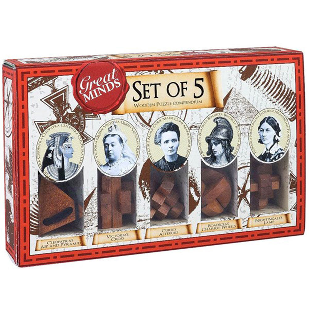 Great Minds Wood & Metal Brainteaser Puzzle 5PCS