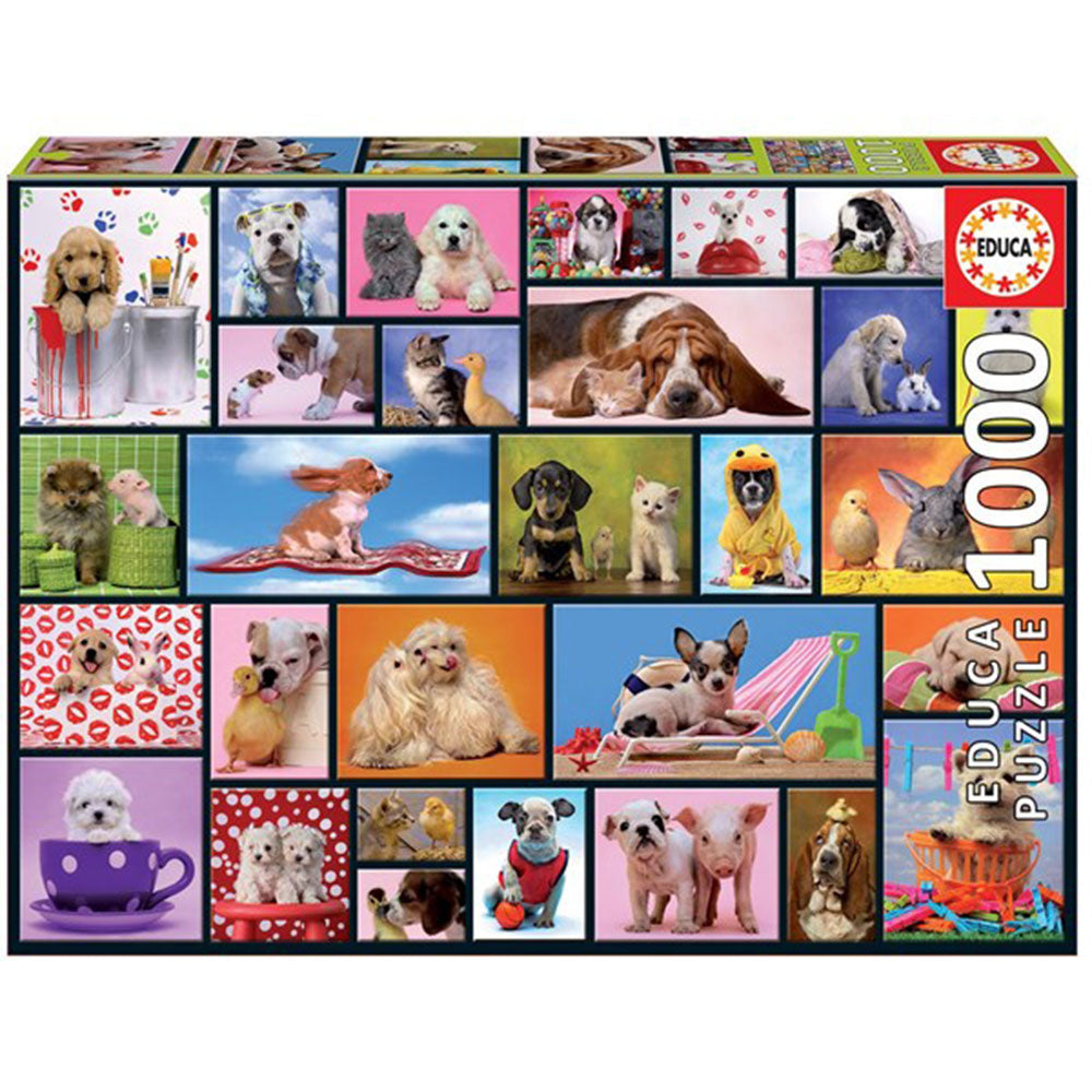 Educa Puzzle Collection 1000PCS