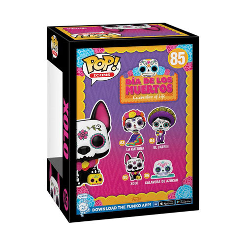 Dia De Los Muertos Xolo Pop! Vinyl