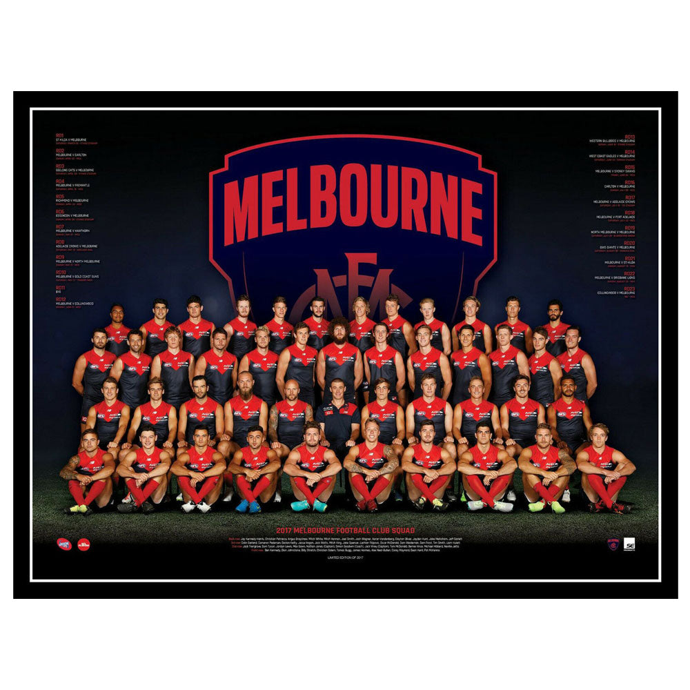 AFL 2017 Team Plakat