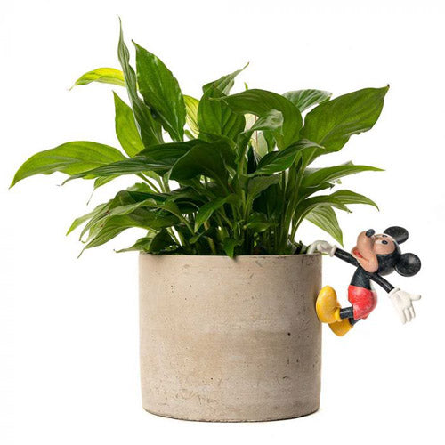 Mickey Mouse Pot Buddy