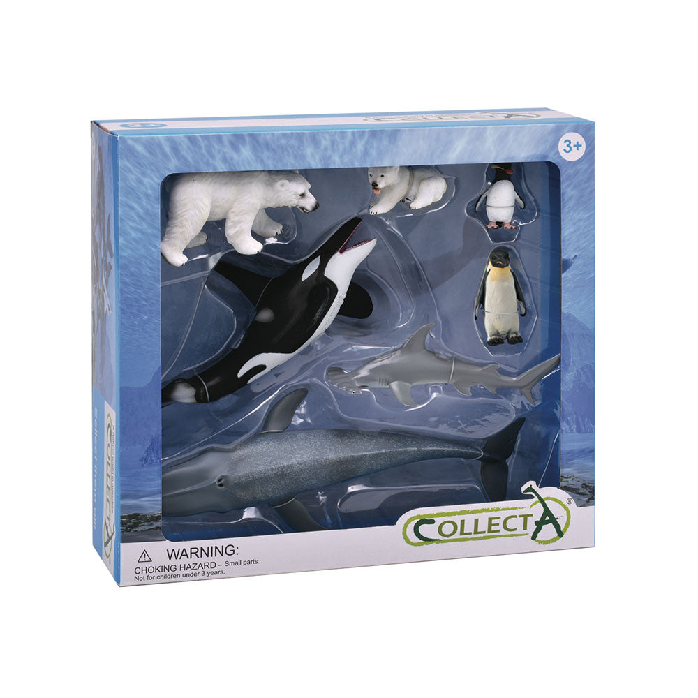 Collecta Sea Life Animal Figures Gift Set