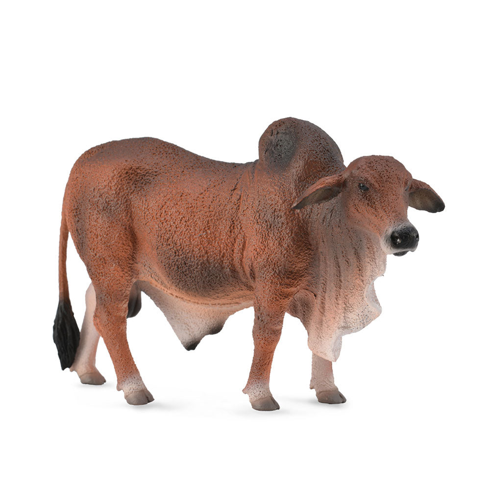 CollectA Brahman-Stier-Figur (groß)