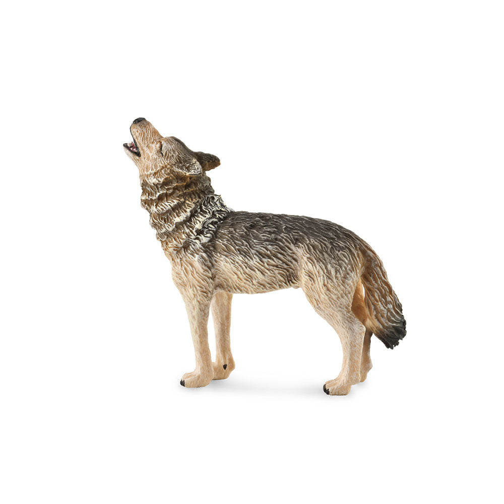 Collecta Timber Wolfフィギュア（ミディアム）