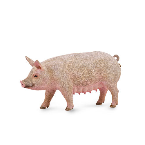 CollectA Pig Figure (Medium)