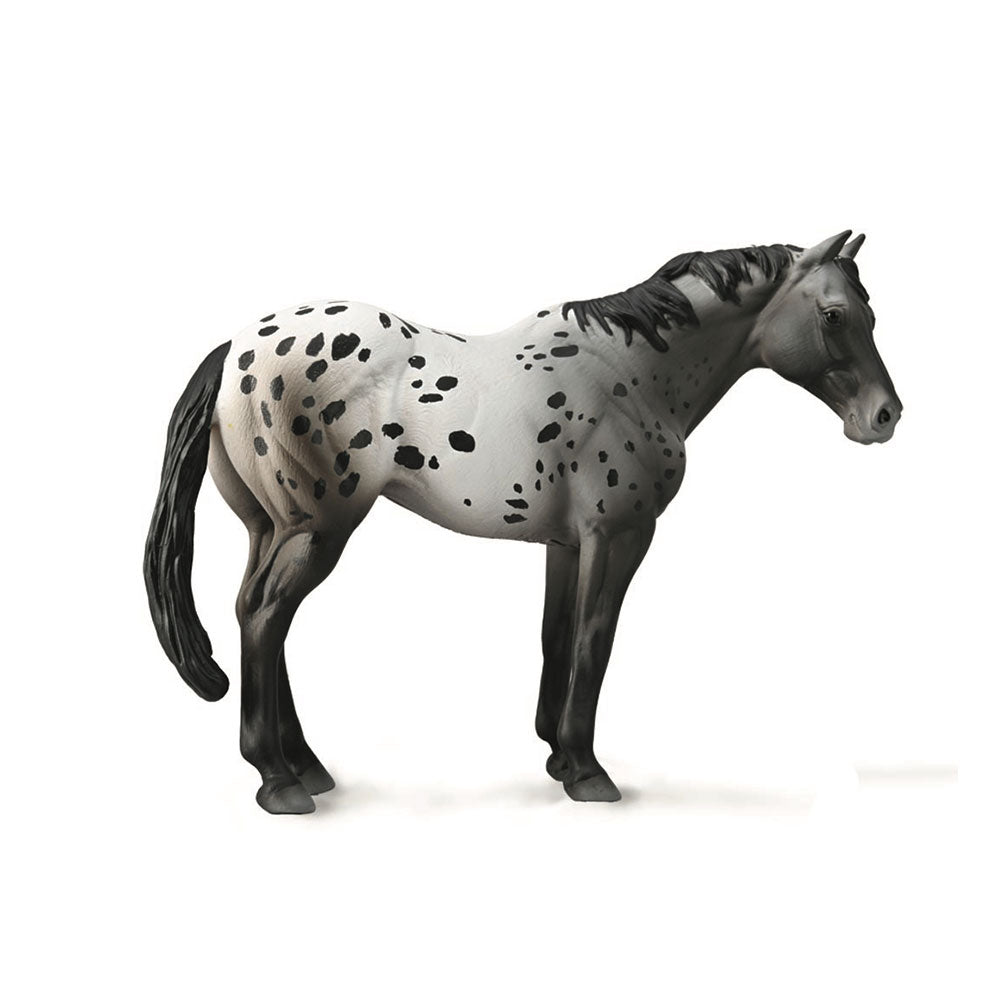 Kolekta Appaloosa Stallion Rysunek (XL)