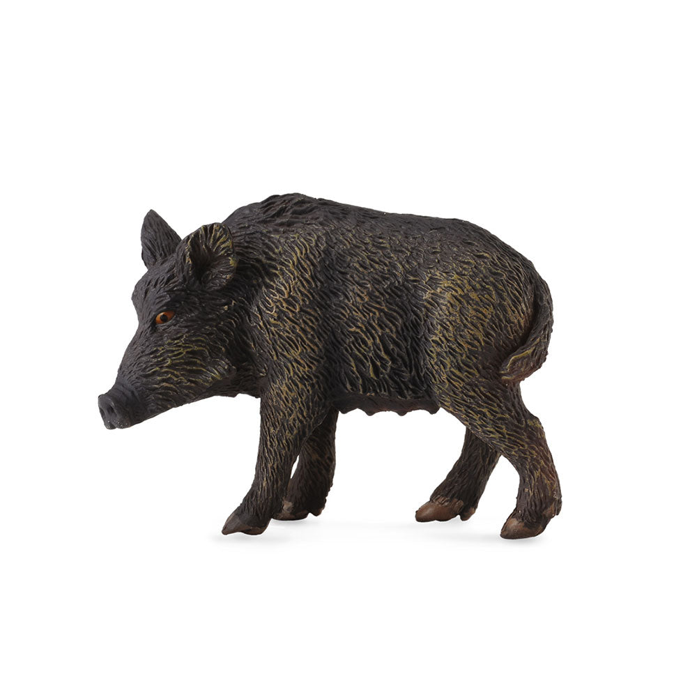 Collecta Wild Pig Figure (milieu)