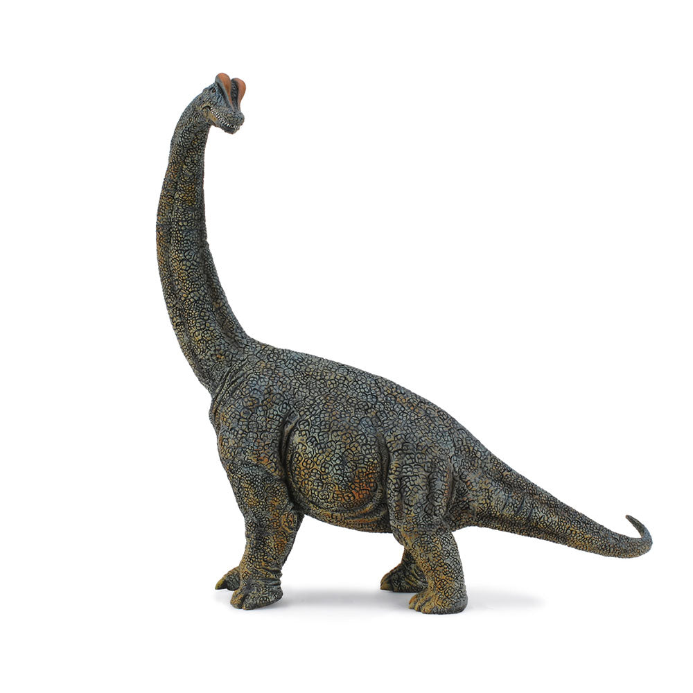 Collecta brachiosaurus dinosaurus figuur