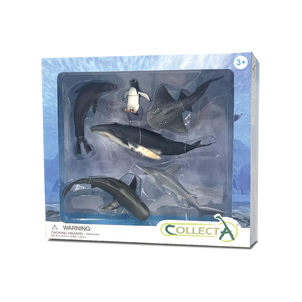 Collecta Sea Animal figurer Gavesæt (pakke på 6)