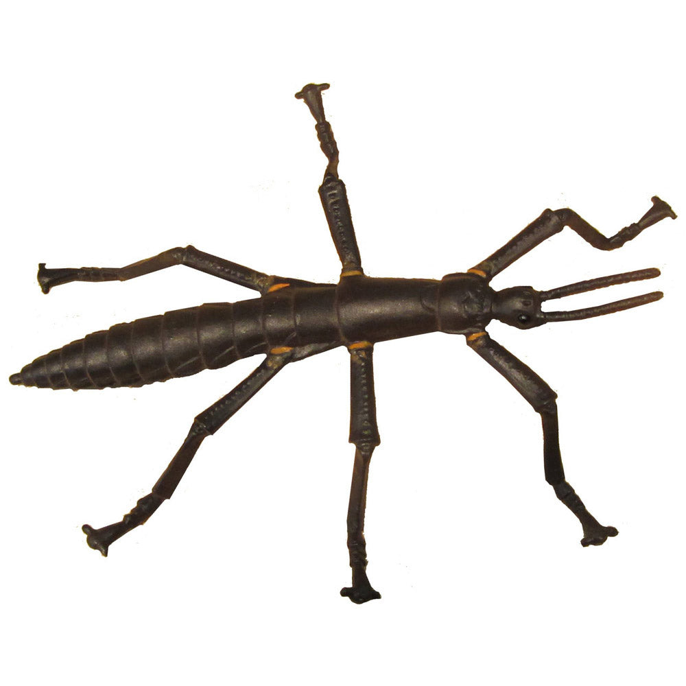 Lord Howe Island Stick Insect