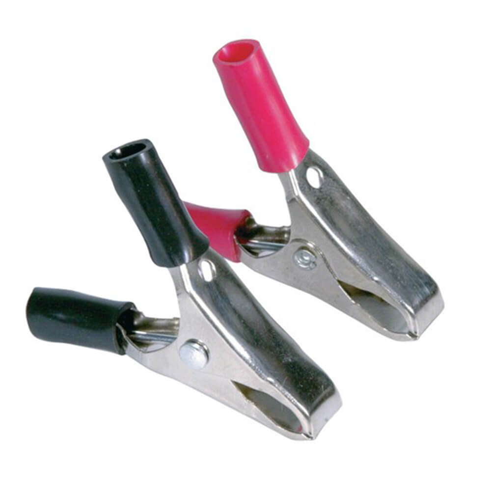 Clips de type de batterie de voiture 2pk