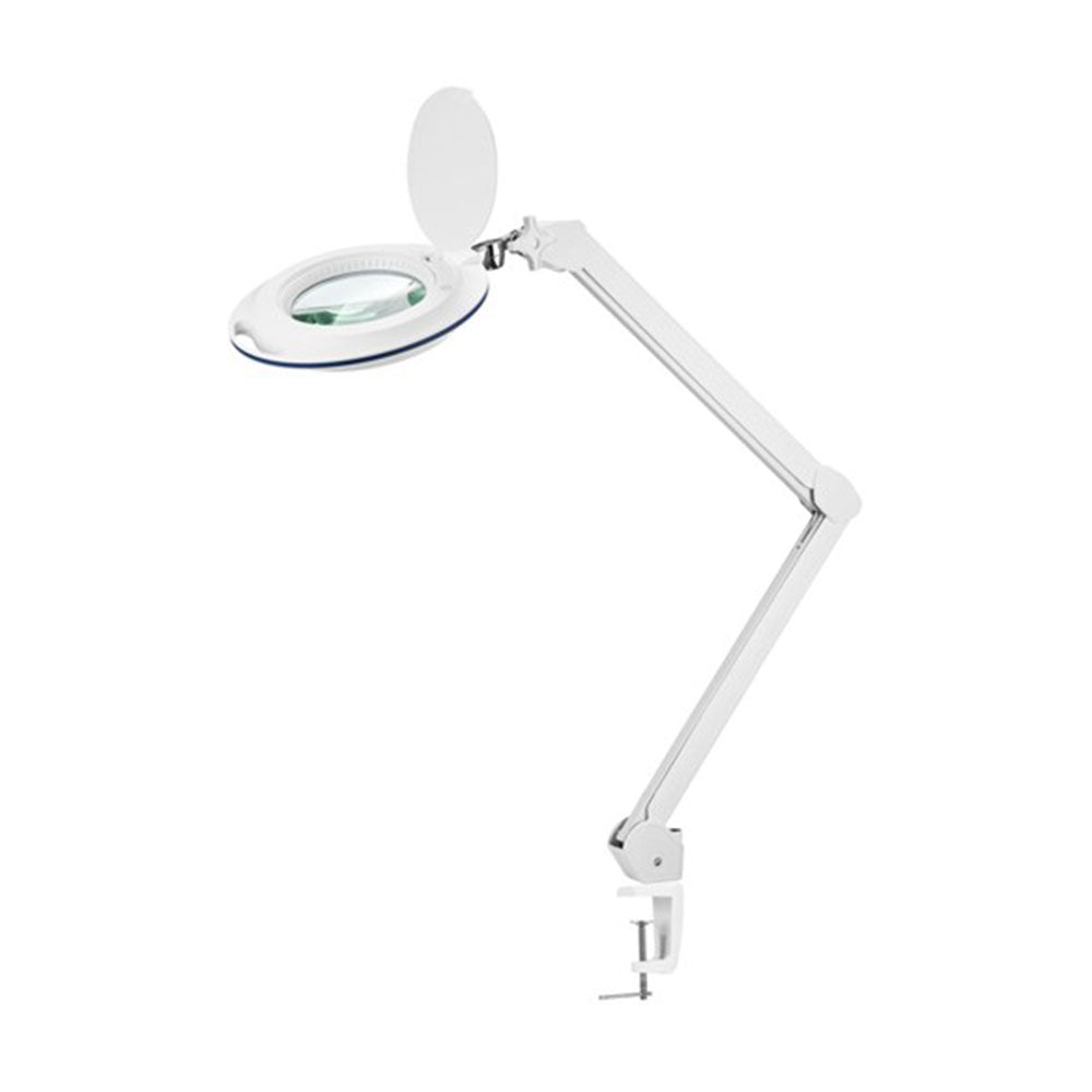 LED ILUMINADO ALMAGEM MOLHENTE