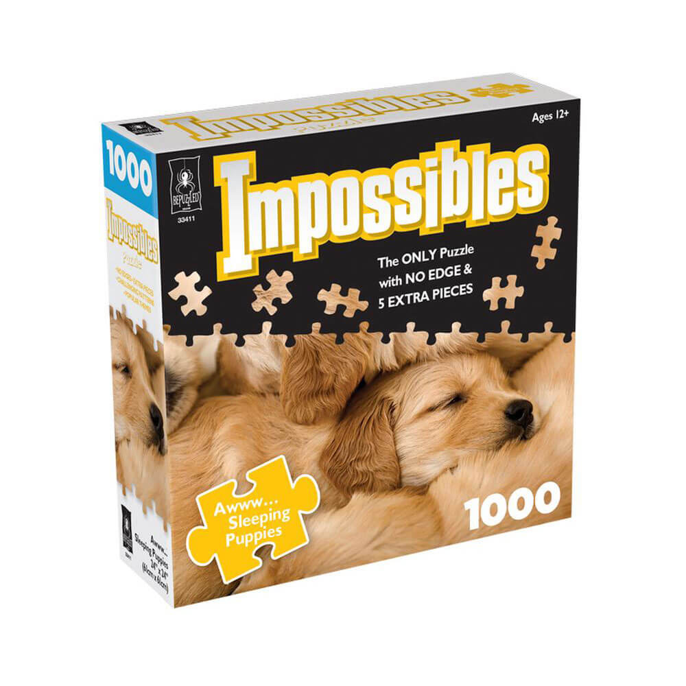 Onmogelijkheden 1000 pc puzzel