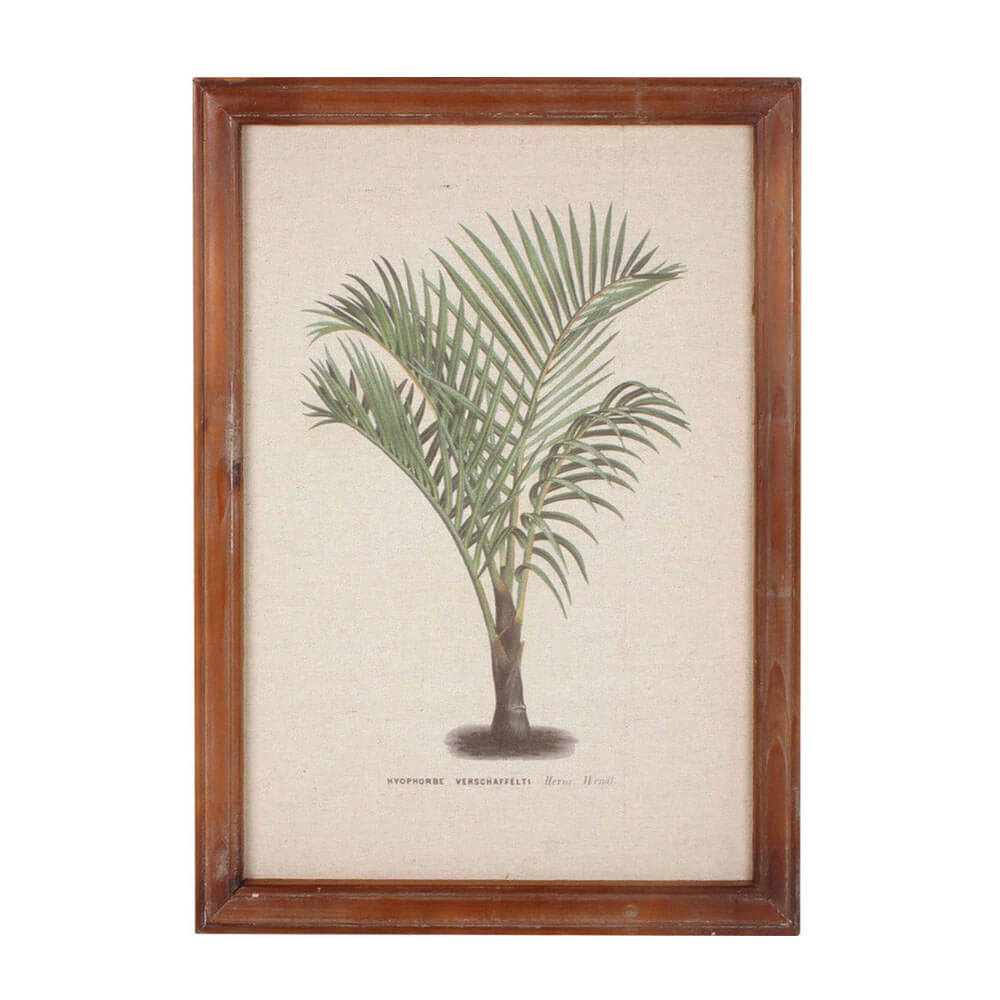 Gerahmte Vintage Palm Wall Art (38x52x1.8cm)