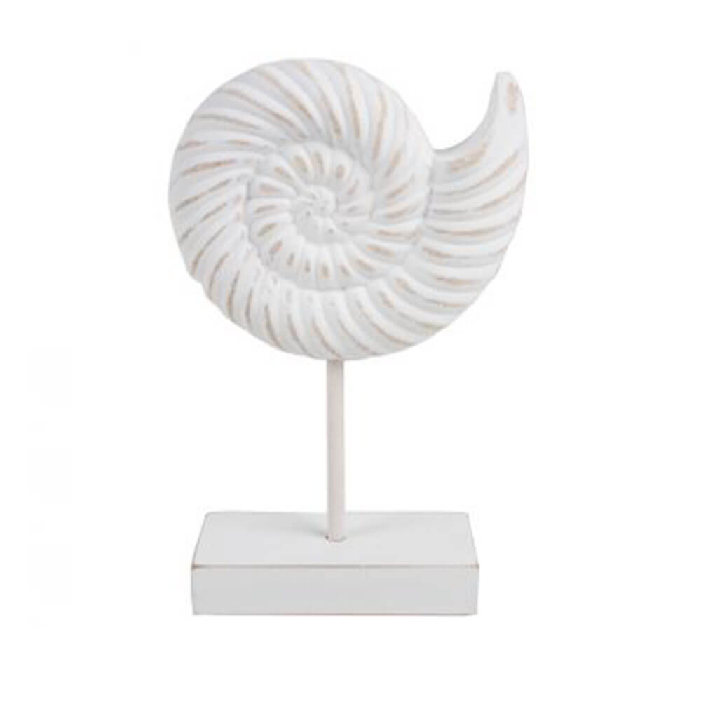 7 Seas Conch Wood Shell en Stand