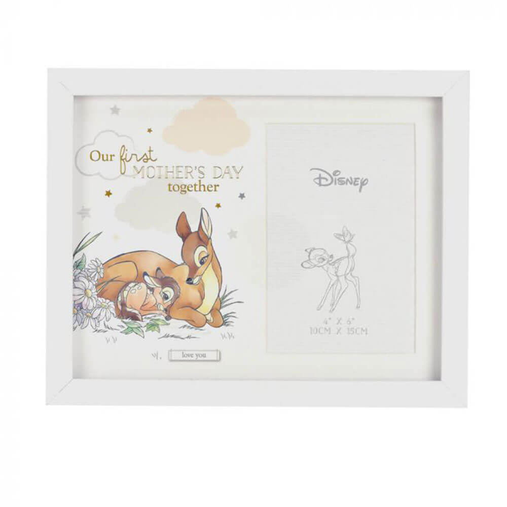 Disney Gifts fotoram