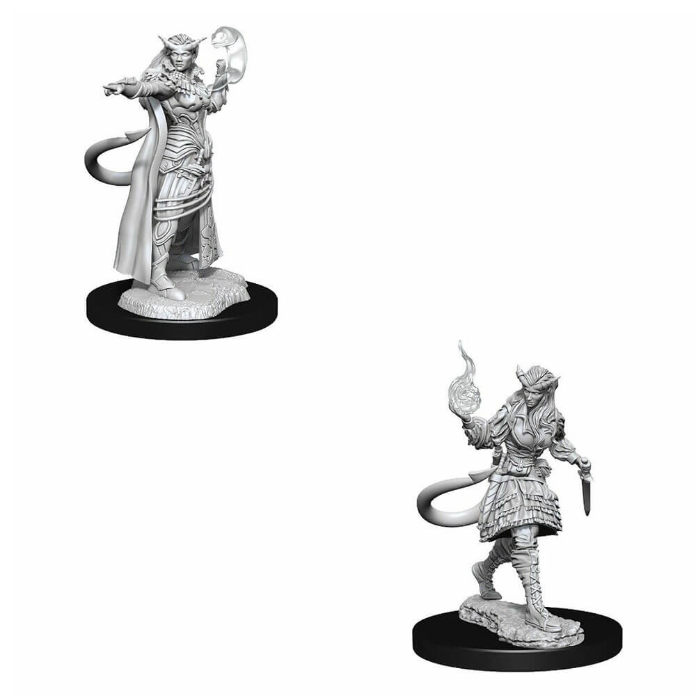 D&D Nolzurs Unpainted Miniatures