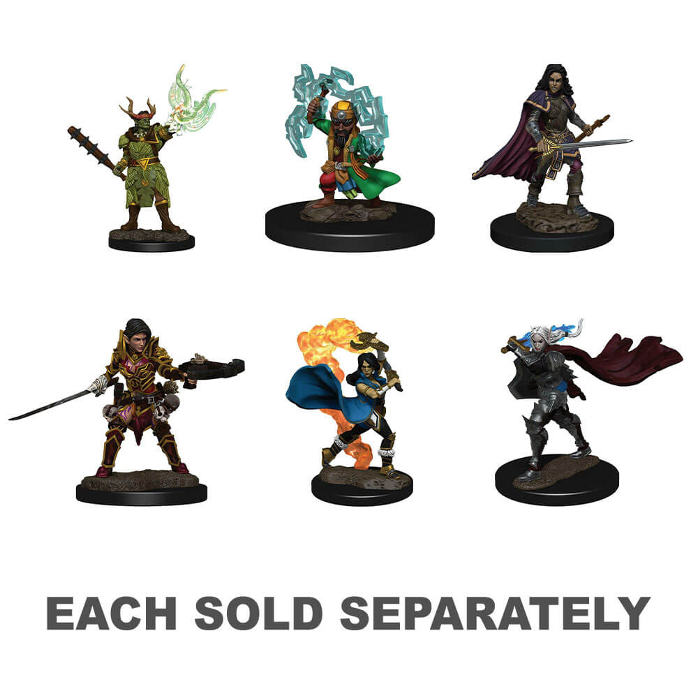 Pathfinder Battles Premium Painted Fig