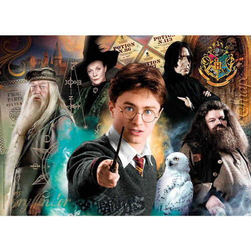 Clementoni Harry Potter Harry & Hedwig Puzzle 500pc