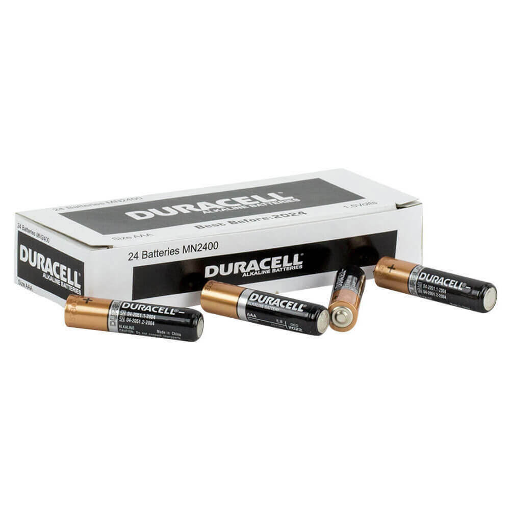 Batteria alcalina Duracell