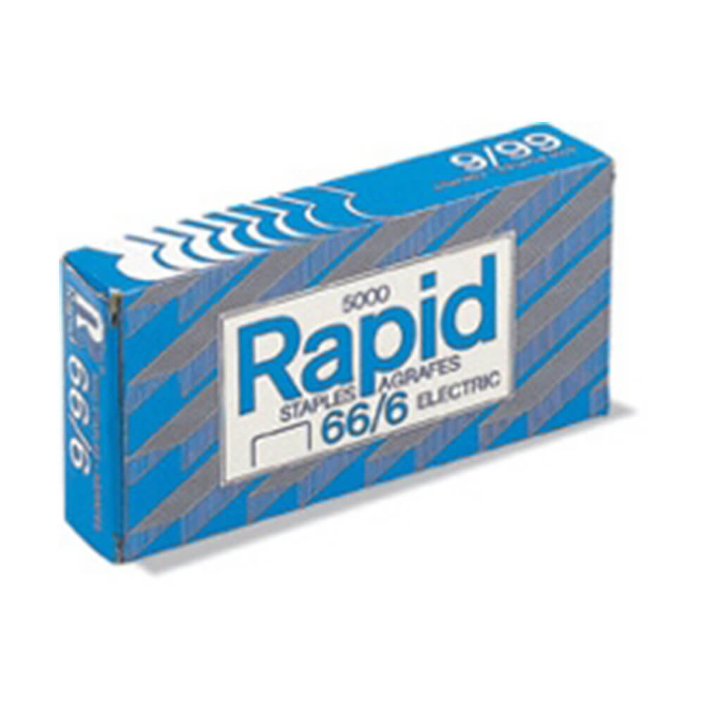 Staples rapidi (5000pk)